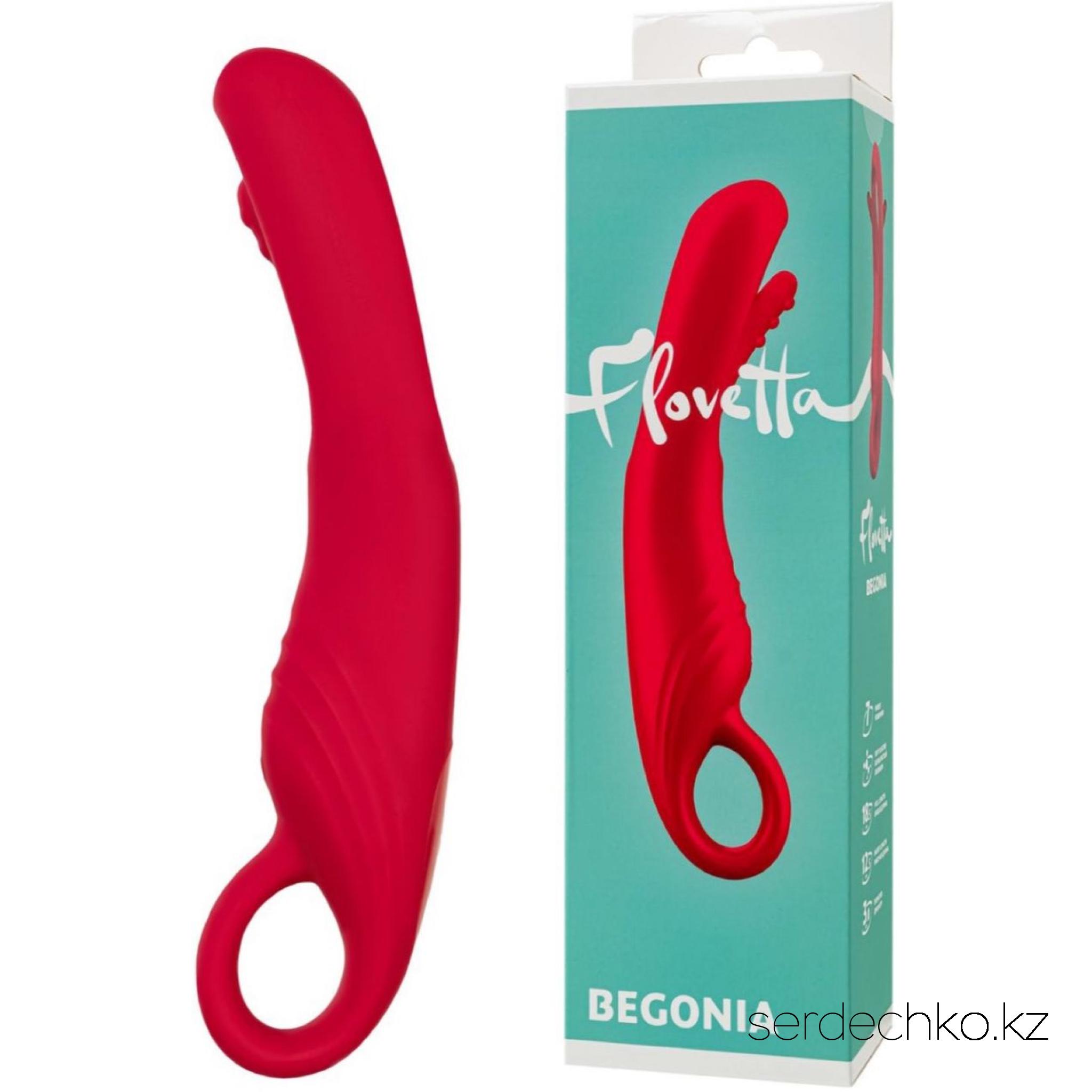 Стимулятор с двигающимся язычком Flovetta BEGONIA, силикон, розовый, 18,5 см, 
	Стимулятор с двигающимся язычком Begonia от Flovetta — это настоящий проводник в мир чувственных удовольствий. Его компактный размер и изогнутый ствол идеально подходят для стимуляции точки G, а движущийся язычок добавляет особую пикантность, даря непревзойденные ощущения. С длиной 18,5 см, рабочей длиной 12,5 см и диаметром 3 см, Begonia предлагает идеальный баланс для глубокого наслаждения.

	Изготовленный из высококачественного бархатистого силикона, этот вибратор бережно воздействует на тело, гарантируя комфорт и безопасность. Бордовый насыщенный и элегантный цвет настроит вас на волны чувственности и удовольствия.

	Мощная стимуляция и семь режимов движений позволят настроить игрушку под ваше настроение, а удобная ручка на основании сделает процесс управления легким и приятным. USB-зарядка обеспечивает готовность к использованию в любой момент.

	Begonia в изысканном бордовом цвете не только радует глаз, но и дарит уникальный опыт, стимулируя ваши самые чувствительные зоны. Используйте лубрикант на водной основе для максимального комфорта и наслаждения. До и после использования промывайте стимулятор мыльной водой, а для дополнительной дезинфекции применяйте антибактериальный спрей.

	
		
			Общая длина: 18,5 см
	
	
		
			Рабочая длина: 12,5 см
	
	
		
			Диаметр: 3 см
	
	
		
			7 режимов
	
	
		
			Заряжается от USB
	

